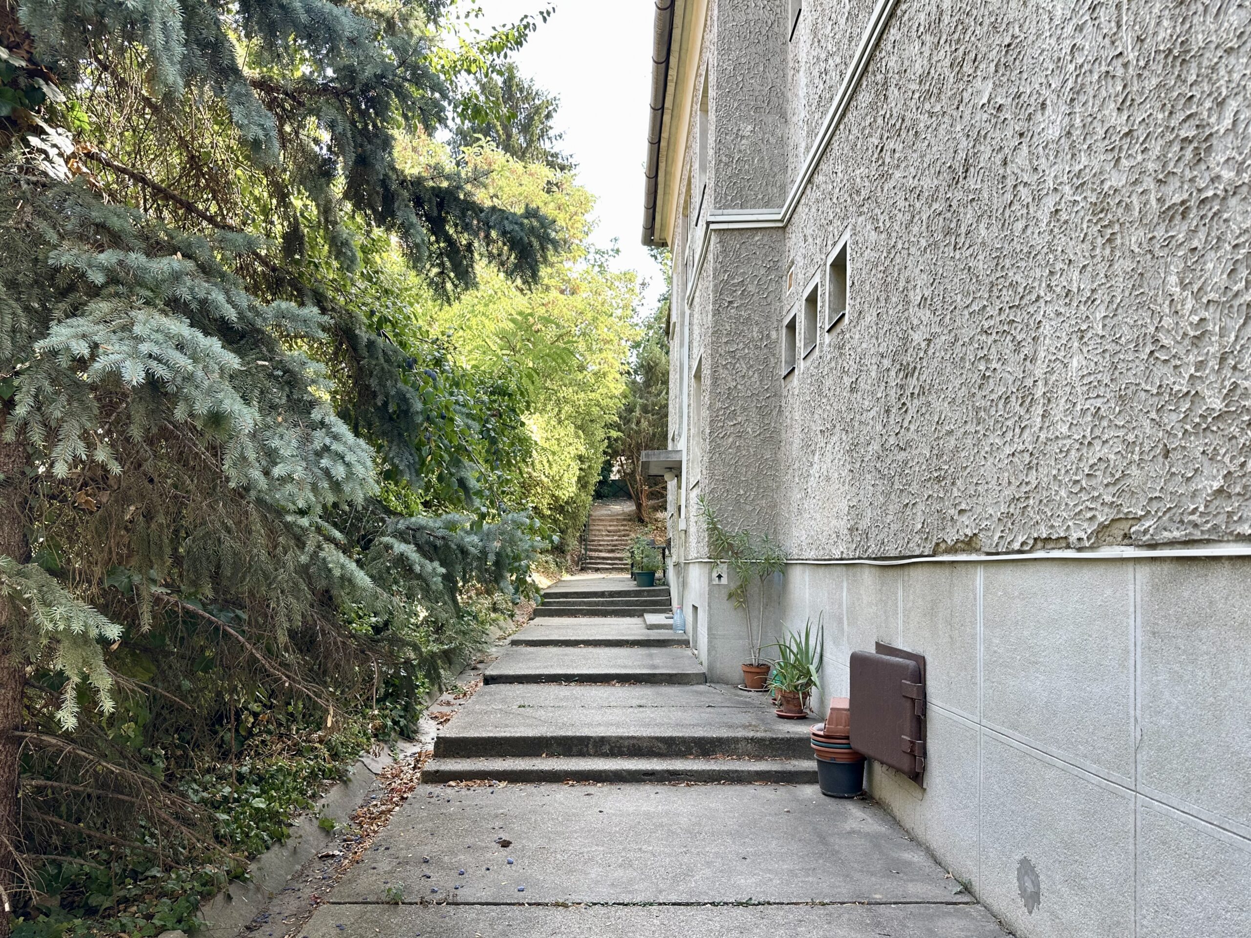 Entrance path in the building’s garden