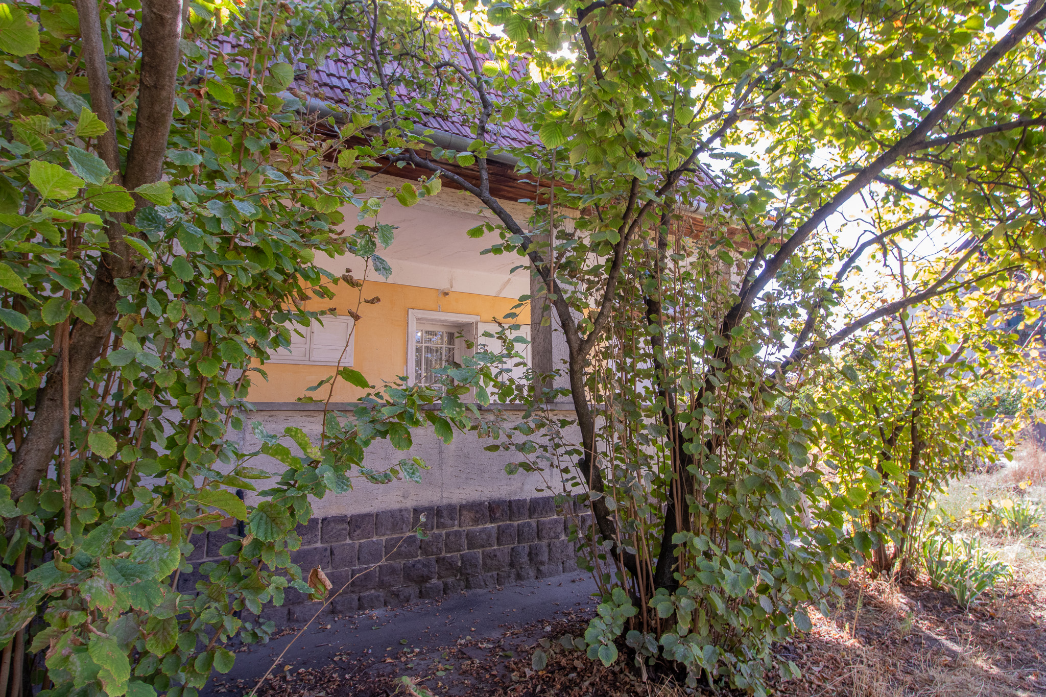 Garden, courtyard side of the house