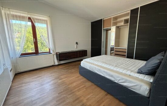 34167693_231211008_hd